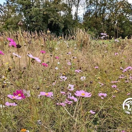 Tatil Evi La Lande Du Pont