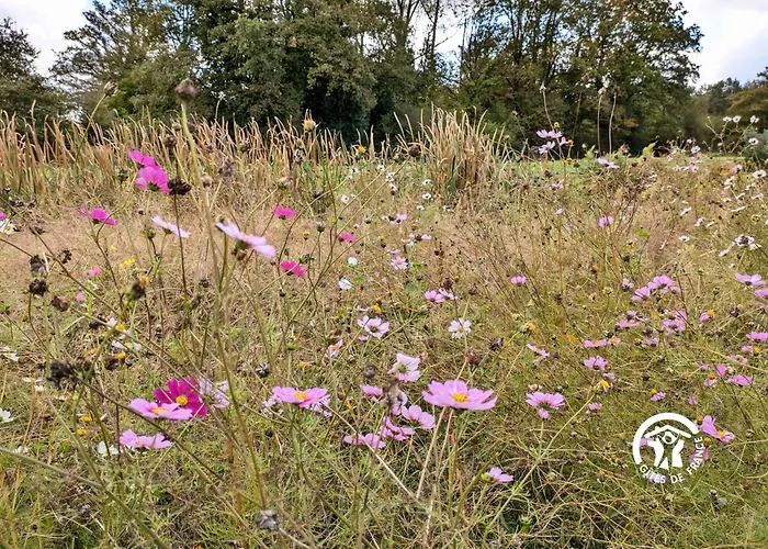 בית נופש La Lande Du Pont